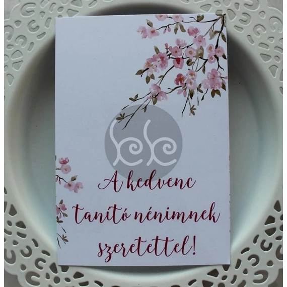 A KEDVENC TANÍTÓ NÉNIMNEK SZERETETTEL kísérőkártya 11x7 cm