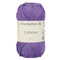Catania Viola 00113